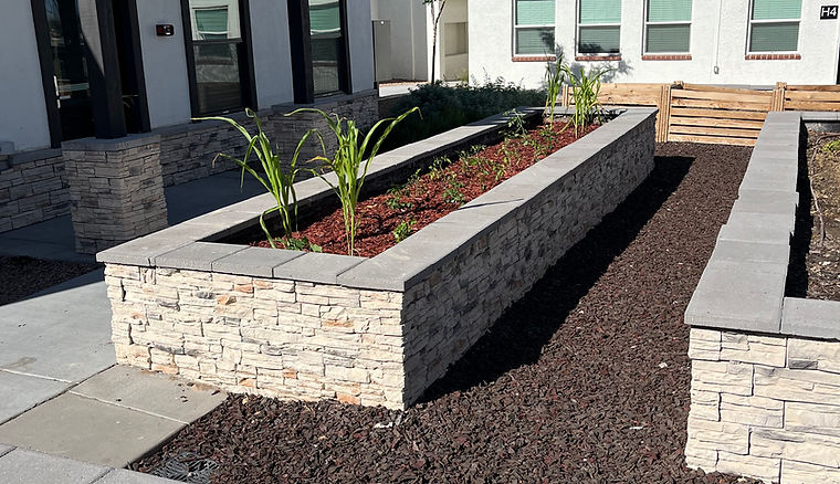 Streetscape Renovation
