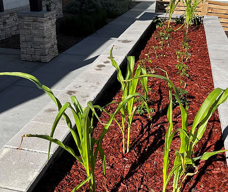 Urban Planters
